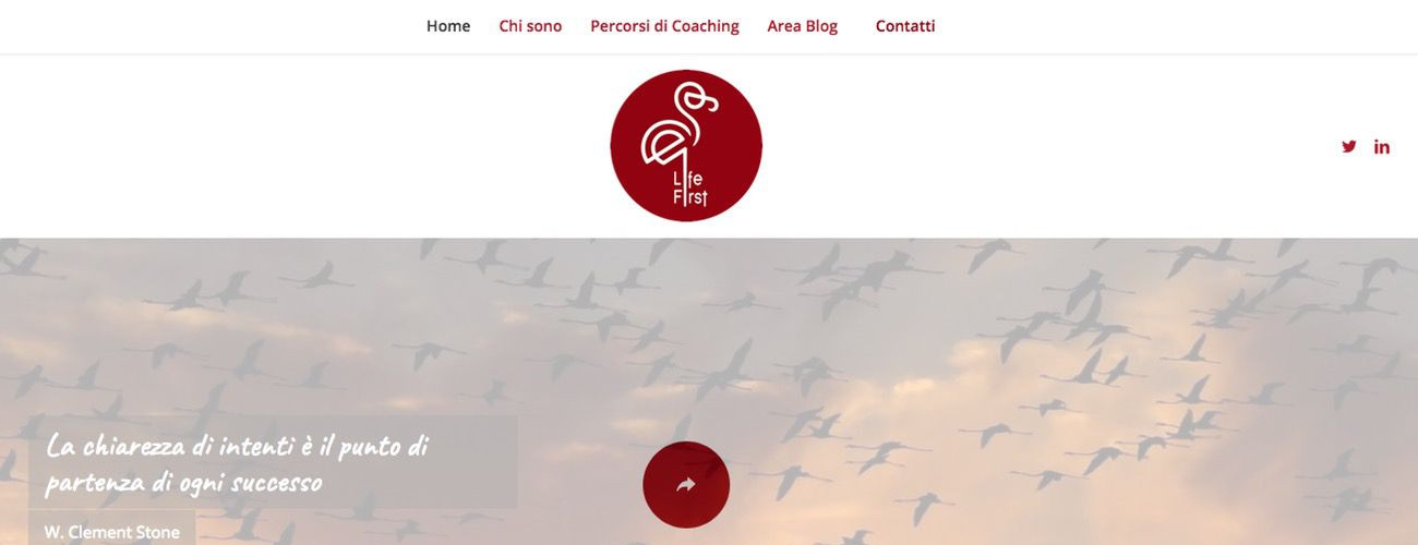 Stefano Castelli - Progetto - Fulvia Silvestri coach