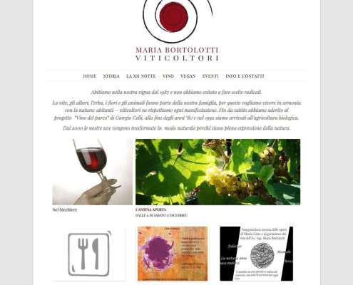 Stefano Castelli - Progetto - Maria Bortolotti viticoltori