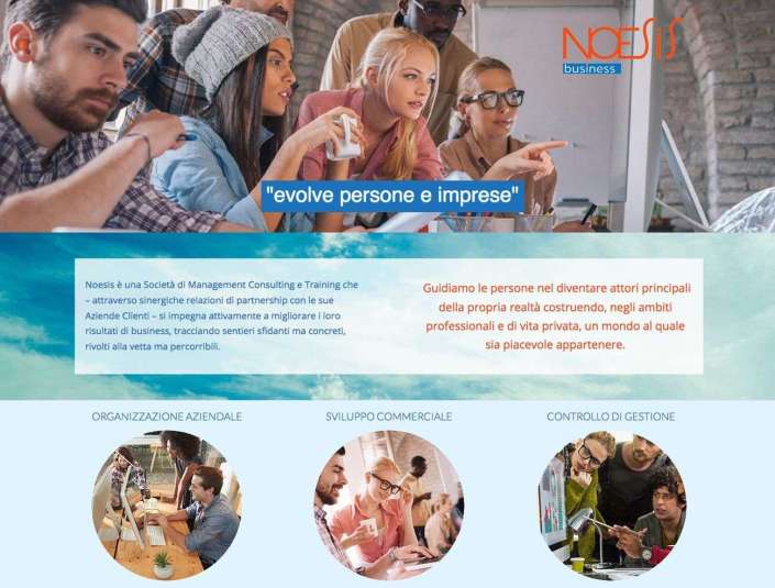 Stefano Castelli - Progetto - Noesis business