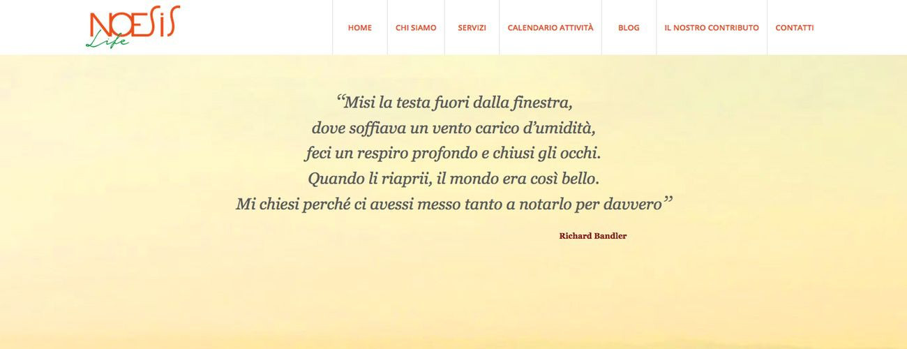 Stefano Castelli - Progetto - Noesis life