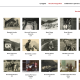 Archivio Fotografico di Comunità - Pejo