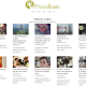Panzallaria 2